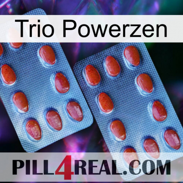 Trio Powerzen 05.jpg